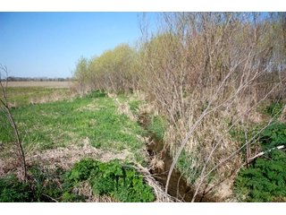Property photo 14 - REAL ESTATE AUCTION - 486+/- ACRES OFFERED IN 9 TRACTS IN MORGAN & MARION COUNTIES, INDIANA